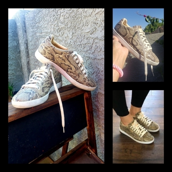 Puma Womens MATCH ANIMAL‎ Sneakers - Picture 2 of 13